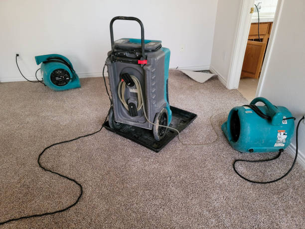 Best Water damage restoration near me  in Shiprock, NM