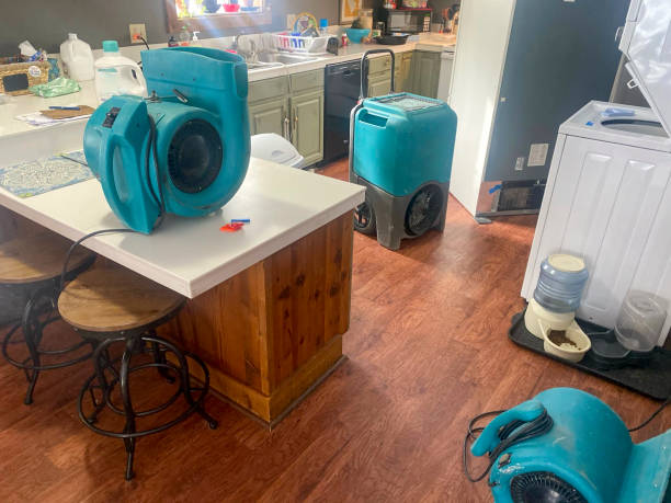 Best 24-hour water damage restoration  in Shiprock, NM