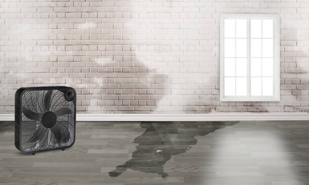 Best Sewage cleanup and water damage restoration  in Shiprock, NM