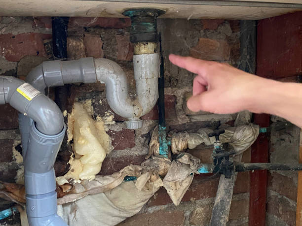 Best Water damage cleanup near me  in Shiprock, NM